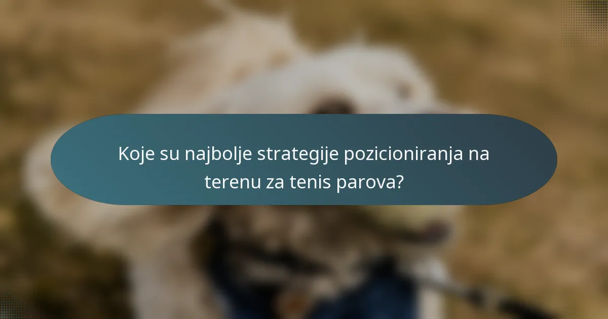 Koje su najbolje strategije pozicioniranja na terenu za tenis parova?