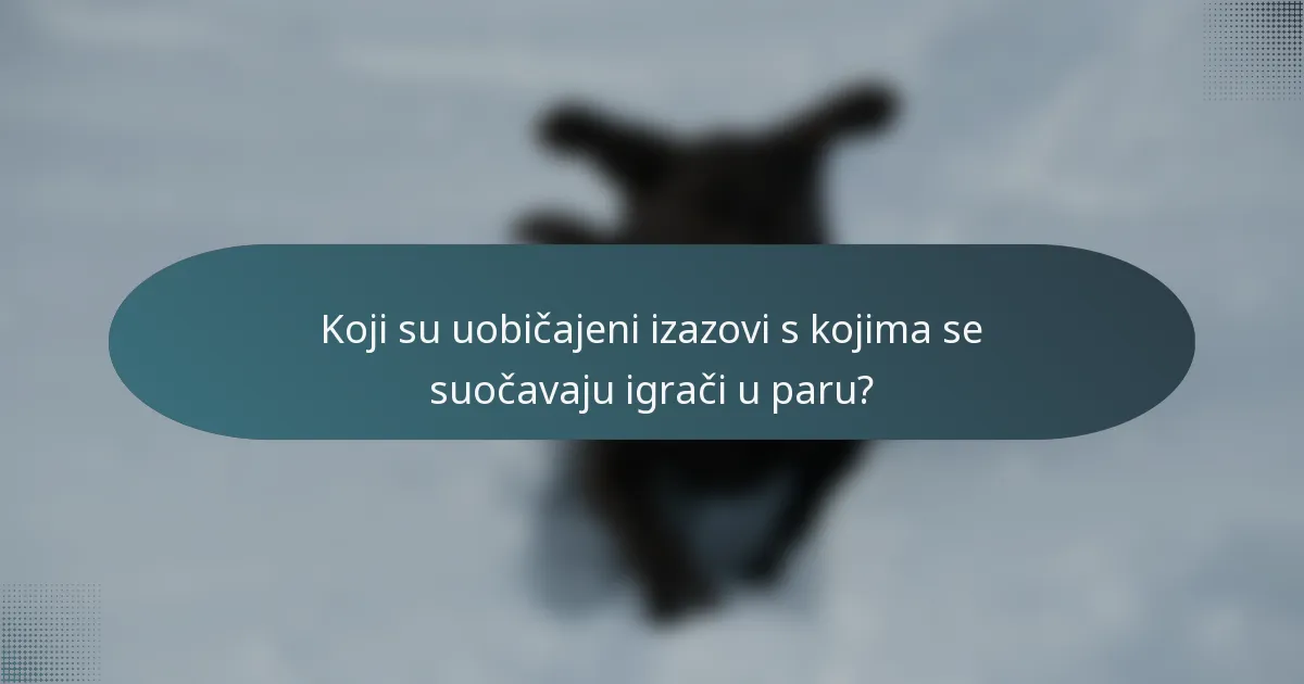 Koji su uobičajeni izazovi s kojima se suočavaju igrači u paru?