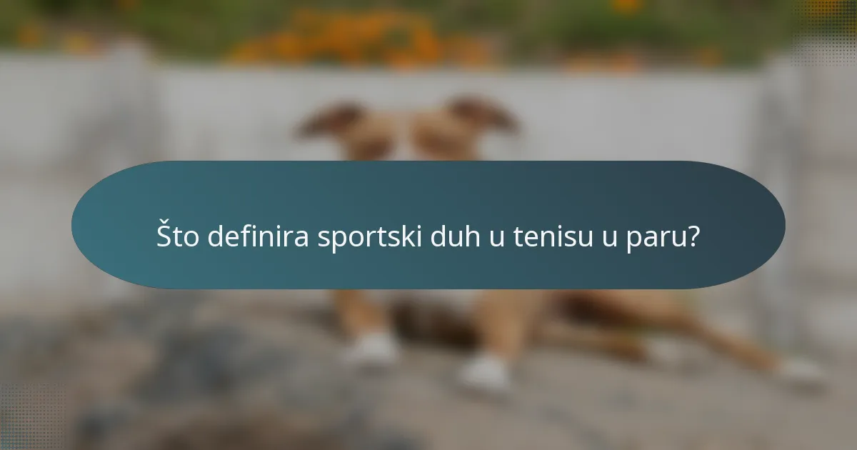 Što definira sportski duh u tenisu u paru?