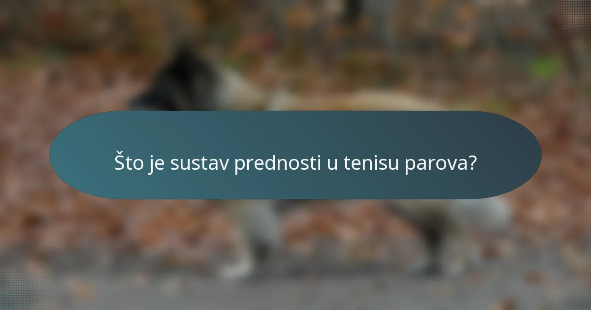 Što je sustav prednosti u tenisu parova?